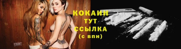 дмт Аркадак