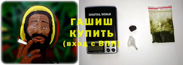 сатива Армянск