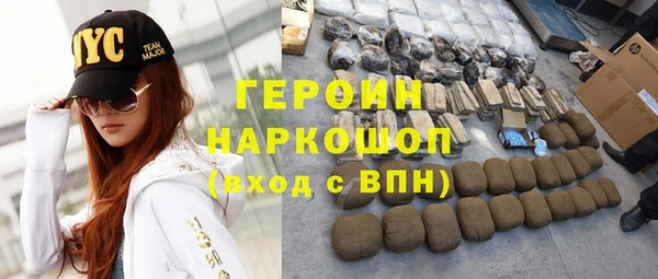гидра Няндома