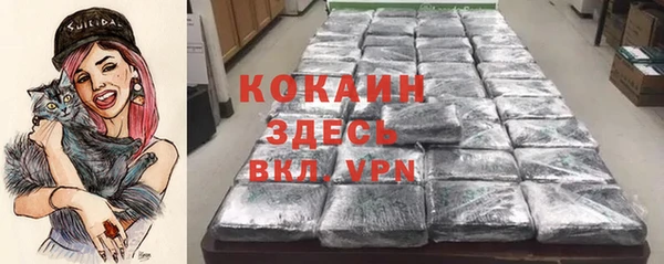 дмт Аркадак