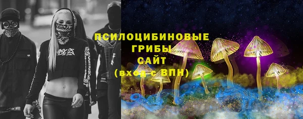 дмт Аркадак