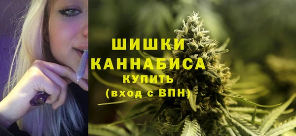 сатива Армянск